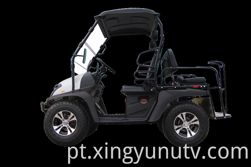 2021 Venda quente de alta qualidade 5kw elétrica UTV EEC CART elétrico